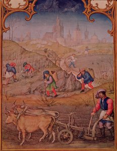 Month of March: Working in the Fields, from Breviarum Grimani