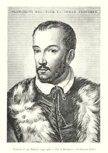 Francois I de Medicis by Italian School