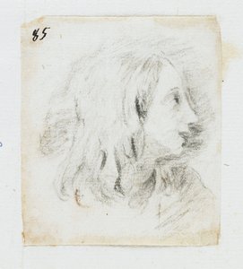 Head of a Boy in Profile by Italian School