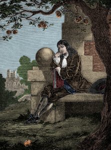 Isaac Newton Observing an Apple Fall to the Ground While Seated Beneath a Tree by Italian School