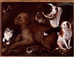 Medici Dogs, with a Cat and a Rabbit from the Italian School by Italian School