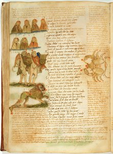 Gemini, Leo and Cancer, from the 