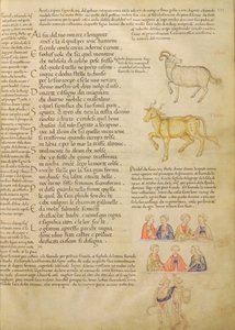 Page illustrating astrological signs, from 