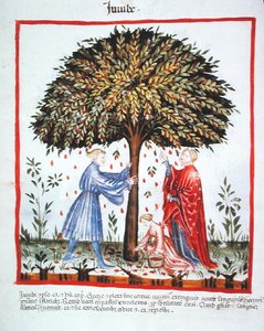 Gathering Jujubes, from Tacuinum Sanitatis Codex Vindobonensis by Italian School