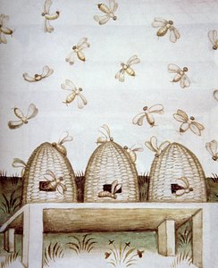 Beehives, from Tacuinum Sanitatis