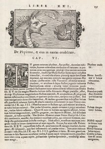 Page 735 from Historia De Gentivus Septentrionalibus by Magnus Olaus, Rome 1565