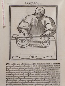 Page from Musica theorica by Italian School
