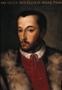 Portrait of Francesco I de Medici