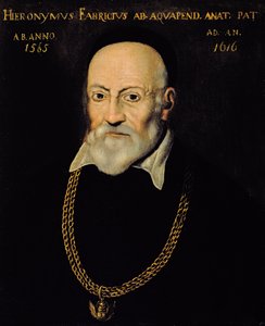Portrait of Hieronymus Fabricius