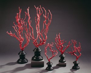 Set of wooden drawing models imitating coral, from the University of Florence