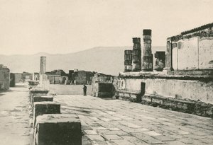 The Civil Forum as it is by Italian School