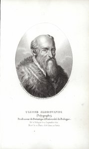 Ulisse Aldrovandi by Italian School