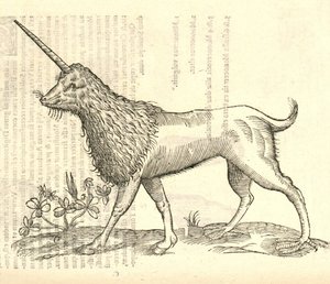 Illustration of a Camphurch from Aldrovandi