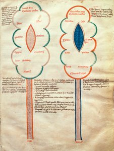 Two Symbolic Flowers, a Page from the Liber Figuratum e le Proemissiones Gioachimitiche, by Joachim of Fiore