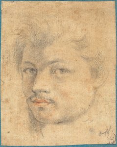 Head of a Man