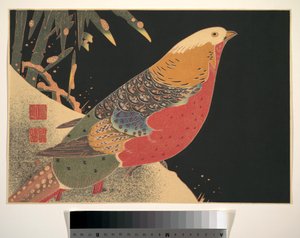Golden Pheasant in the Snow, c.1900