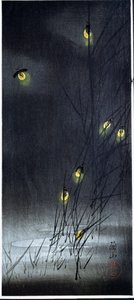 Fireflies in Summer Night