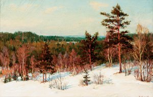 Winter - View over the Forest by Ivan Fedorovich Choultse