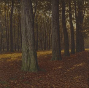 Woody Landscape by Ivan Fedorovich Choultse