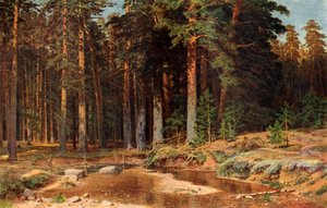 A Pine Grove