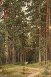 A Summer Day, Merikiul by Ivan Ivanovich Shishkin