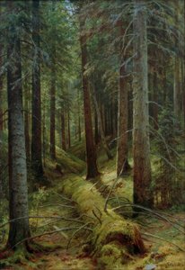In the Russian Forest