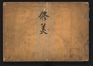 Study of Beauty