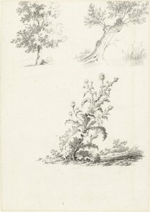 Two Studies of a Tree and a Thistle by J.B. Joss (attributed to)