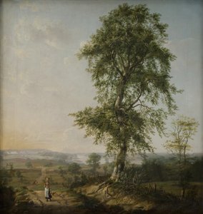 Landscape with a Big Tree