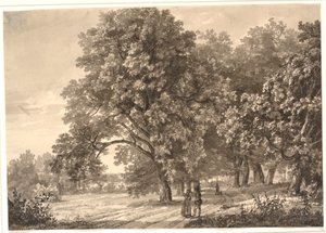 View of a Road in a Wood near Sorø, Zealand