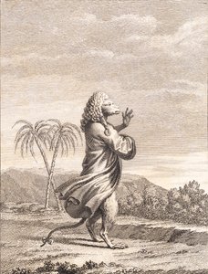 A Martinique Monkey