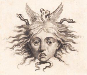 Medusa Head