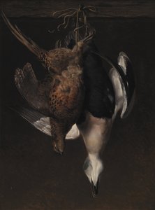 Game. A Pheasant and an Eider