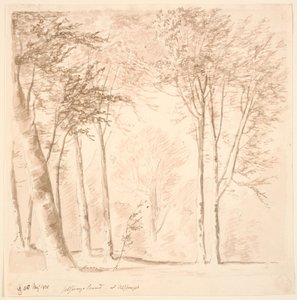 Forest Scene by J.P. Møller