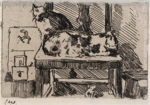 Manx Cats--Isle of Man