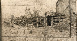The Webb Farm
