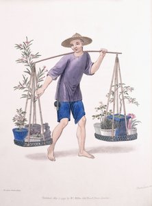 A Porter with Fruit Trees and Flowers by J Dadley