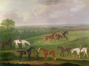Horses at Exercise