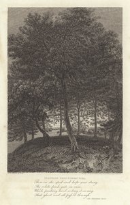 Robert Bloomfield, Poet: Fakenham from Euston Park by J. Greig
