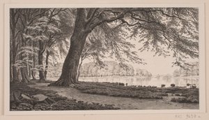 Spring Afternoon by Fuglesangsøen in Dyrehaven by J. Hildebrand
