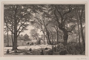 Jutland Forest Scene