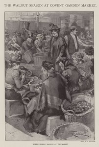 The Walnut Season at Covent Garden Market, London