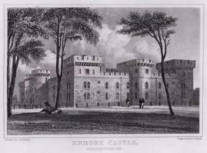 Enmore Castle, Somersetshire by John Preston Neale
