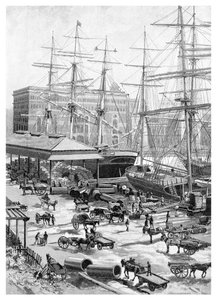 Shipping, Circular Quay, Sydney, New South Wales, Australia by J. R. Ashton