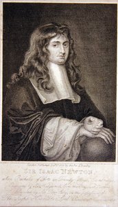 Sir Isaac Newton by J. T. Wedgewood