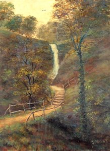 Shanklin Chine, Isle of Wight by J. Wilby