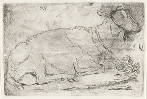 Lying Goat by Jabes Heenck (signed by artist)