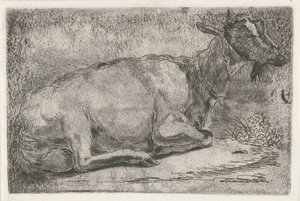 Lying Goat by Jabes Heenck