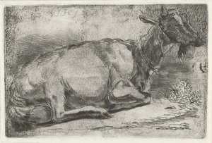 Lying Goat by Jabes Heenck
