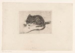 Mouse by Jac van Looij